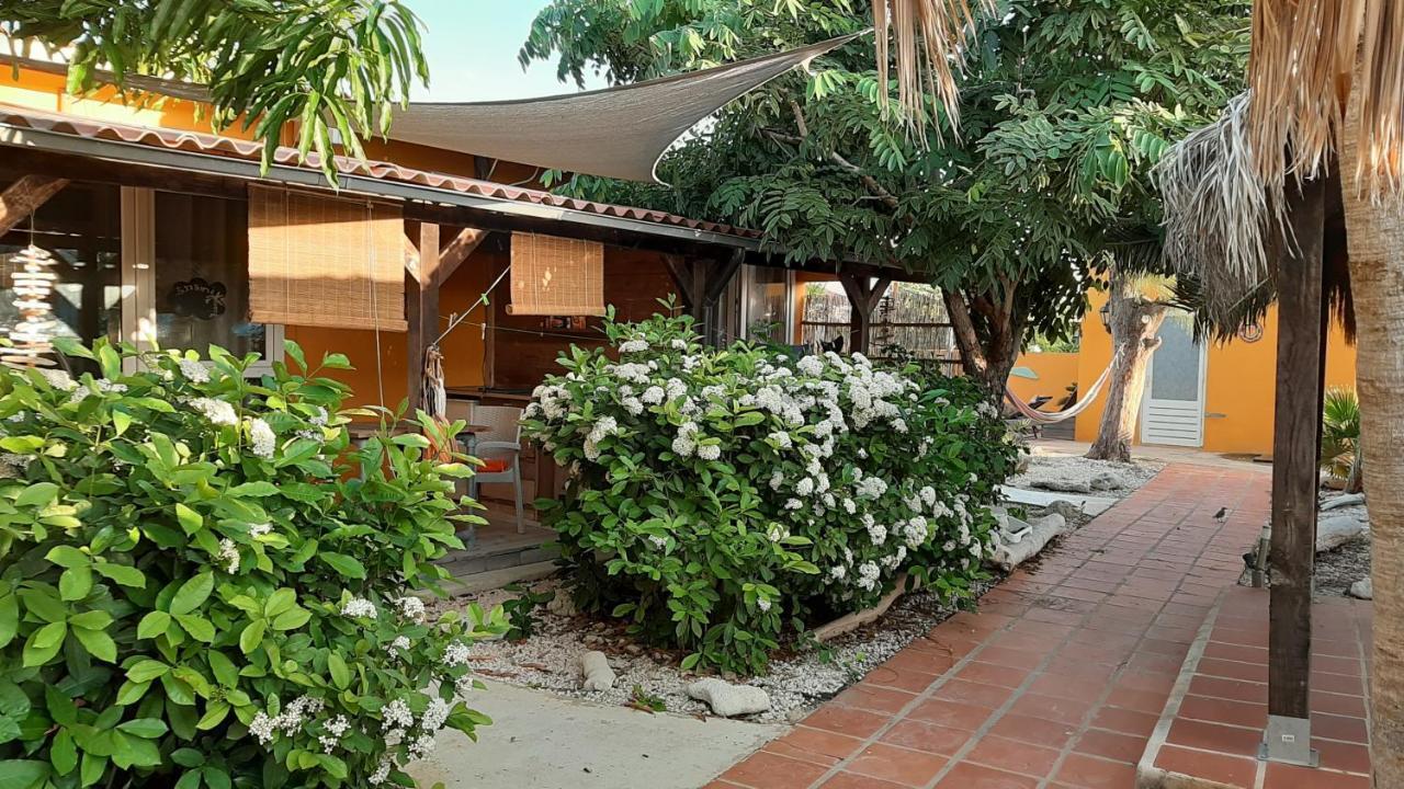 B&B Casa Trankilo Playa Eksteriør bilde